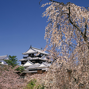 松山城